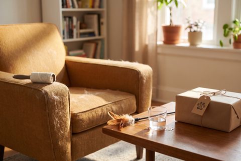 Fuzzy armchair with a lint roller, a coffee table with a feather toy and a glass of water, and a wrapped gift with a paw tag
